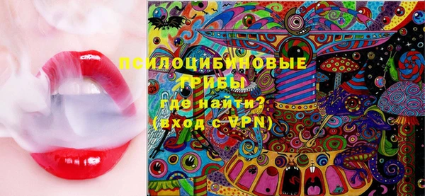 PSILOCYBIN Алексин