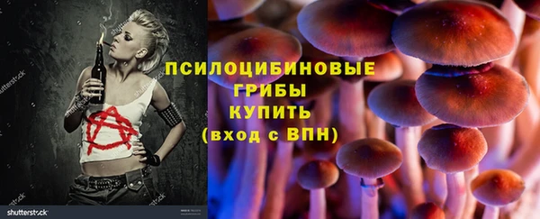 винт Алзамай