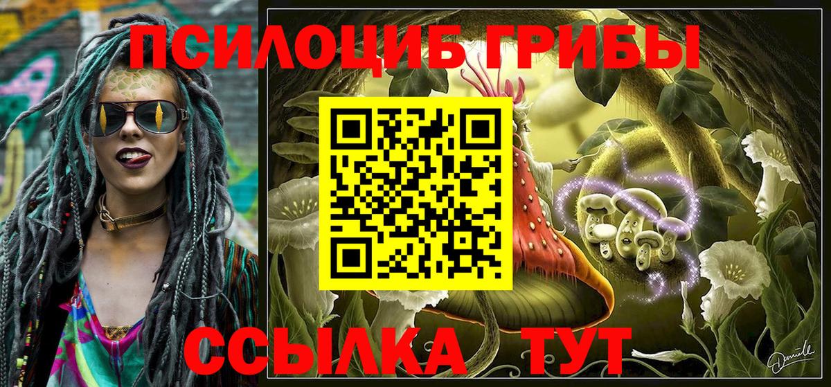 Галлюциногенные грибы Psilocybe Алексеевка